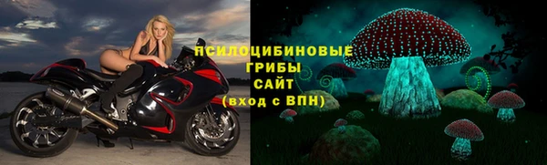 бошки Заводоуковск