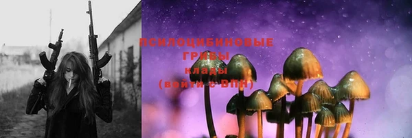 бошки Заводоуковск